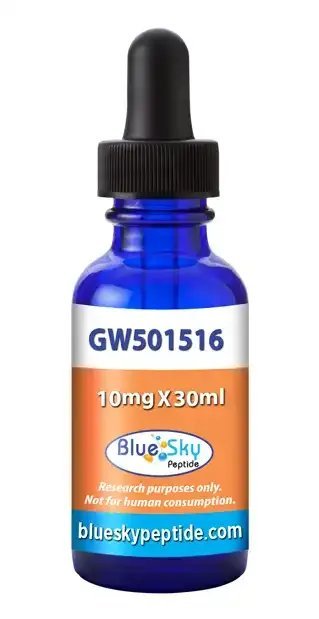 image-x-69-1.jpg